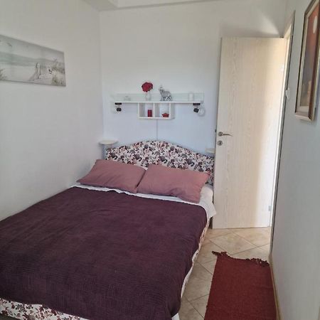 Marta Apartment Petrovac Dış mekan fotoğraf